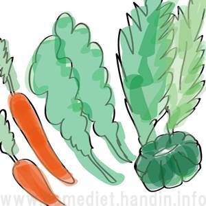 野菜の食物繊維を摂ろう 野菜の食物繊維を摂ろう